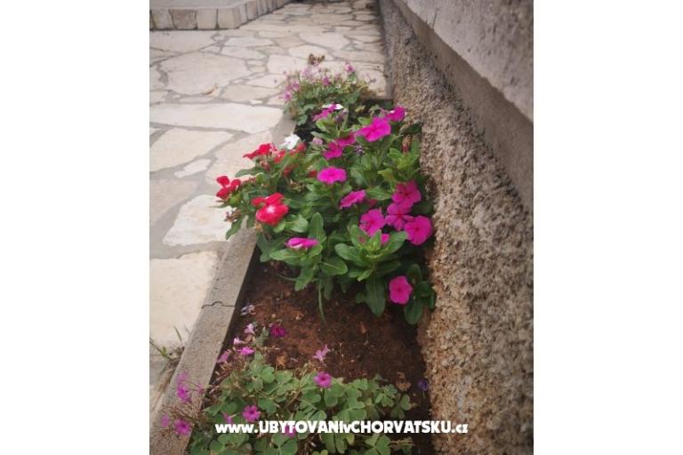 Apartamenty Vlašić – foto 10