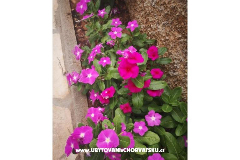 Apartamenty Vlašić – foto 9