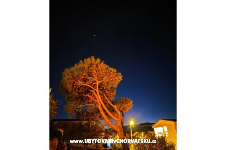 Apartamenty Dragicevic – foto 28