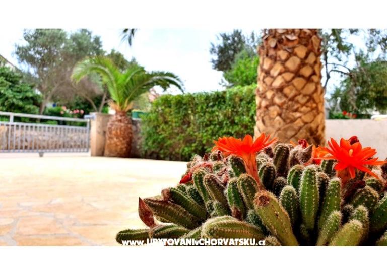 Happy Pineapple Apartamenty Vir – foto 6