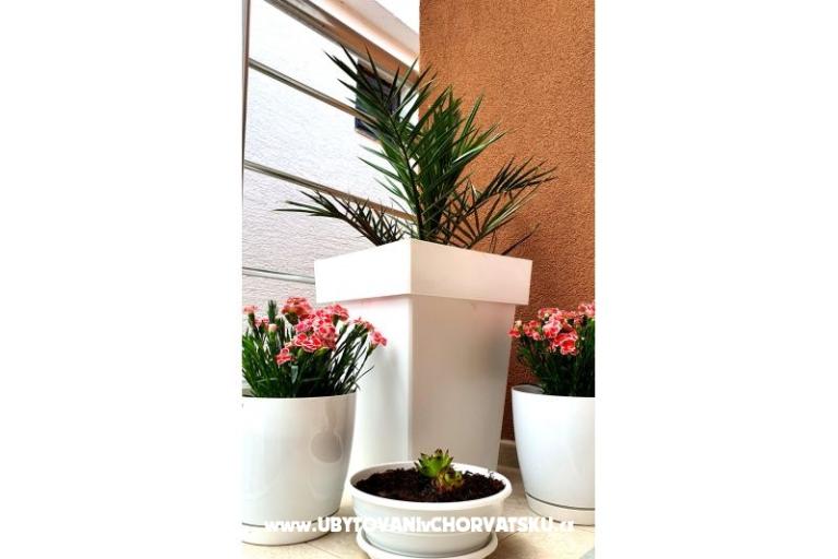Happy Pineapple Apartamenty Vir – foto 7