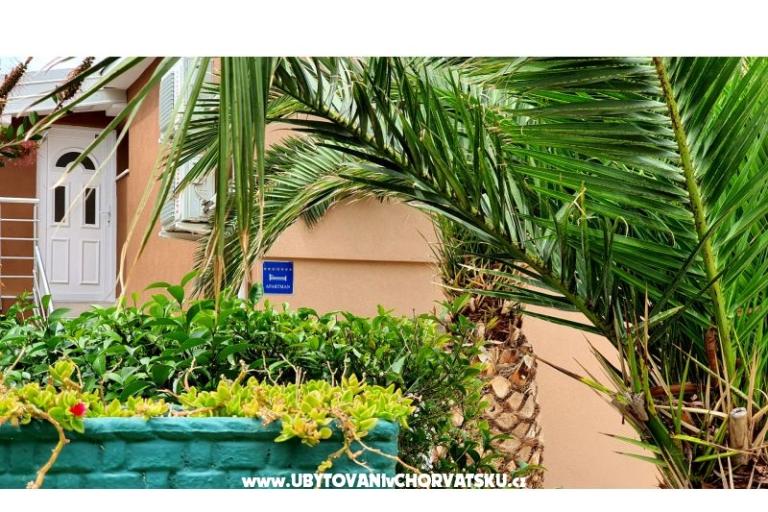 Happy Pineapple Apartamenty Vir – foto 8