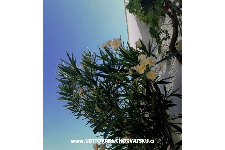 Ivo Nedić Apartamenty – foto 12