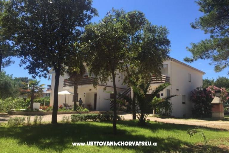 Apartamenty Liveric – foto 3