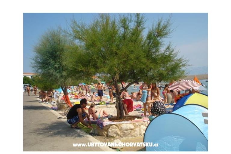 Apartamenty-MGM Vir – foto 15