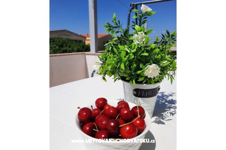 Nedić Apartamenty – foto 8