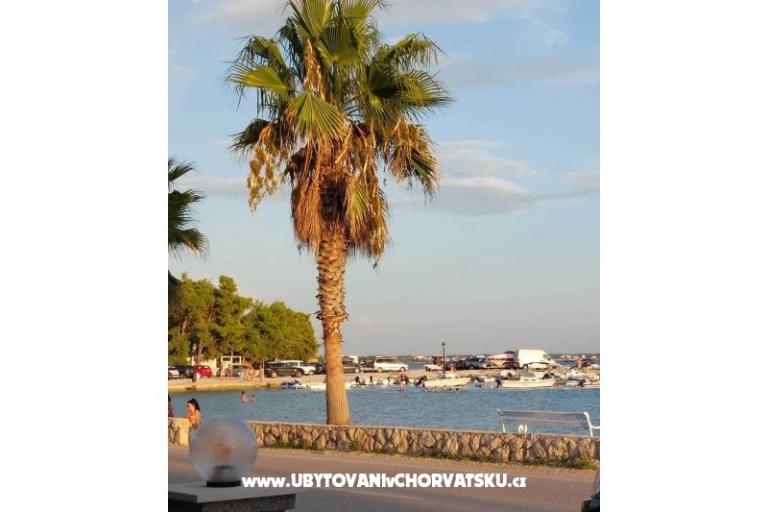 Tonis Apartamenty – foto 12