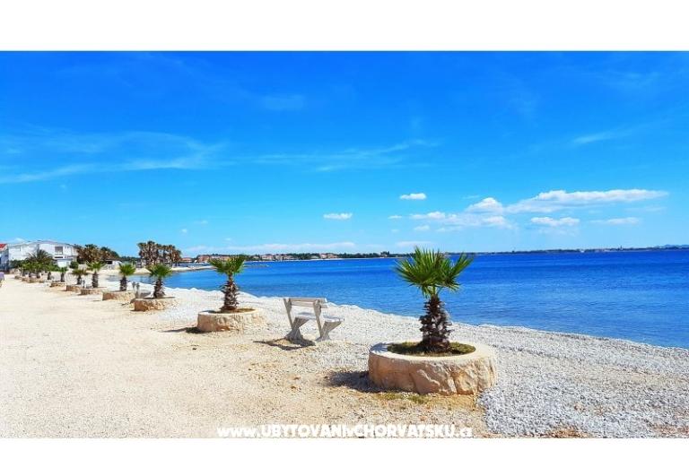 Villa Selina – foto 8
