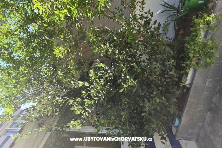 Sunset Paradise Apartamenty Vir – foto 57