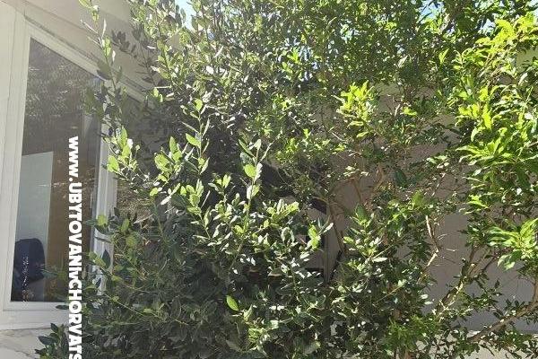 Sunset Paradise Apartamenty Vir – foto 62