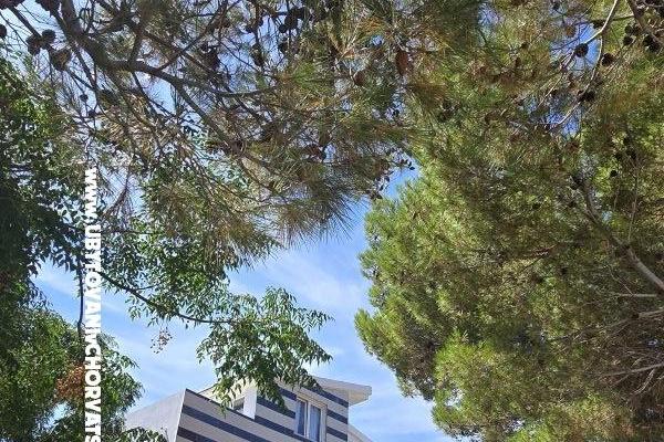 Sunset Paradise Apartamenty Vir – foto 63