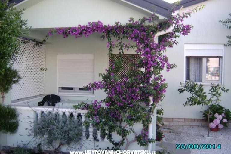 Apartament Zrna – foto 3