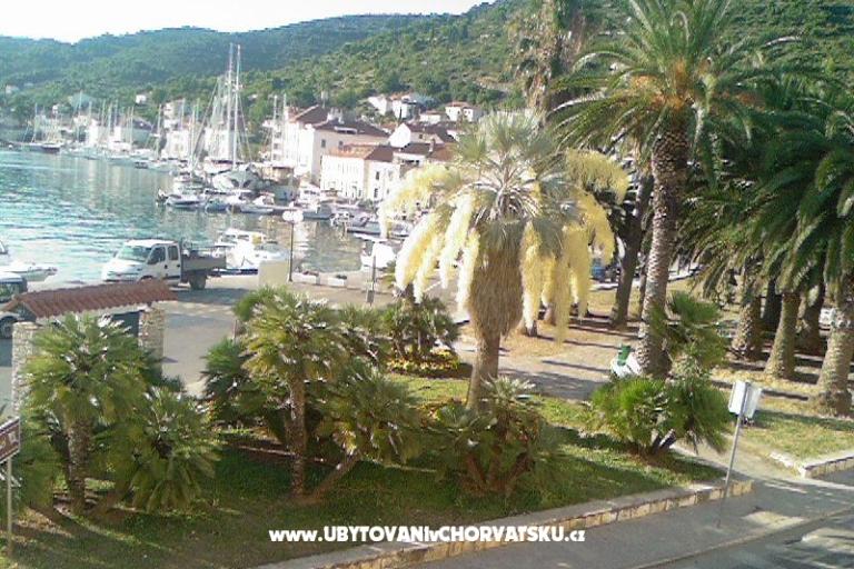 Apartamenty Bilić – foto 15