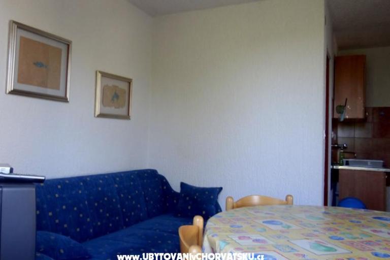 Apartamenty Janković Vis – foto 4