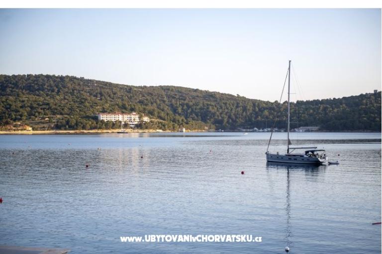 Apartament AndriNa  Vis – foto 16