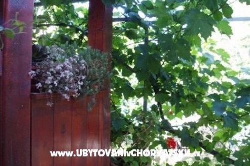 Apartamenty Tina – foto 9