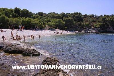 Apartamenty Tina – foto 7