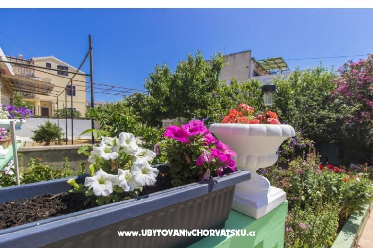 Apartamenty Alaga – foto 5