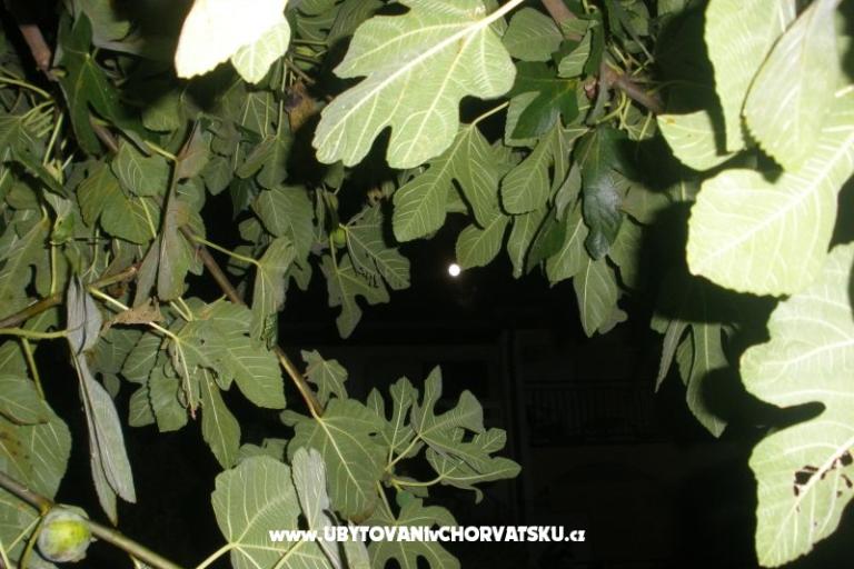 Apartamenty  Smokva   – foto 4