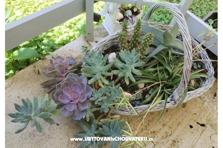 Apartamenty NIKA – foto 15