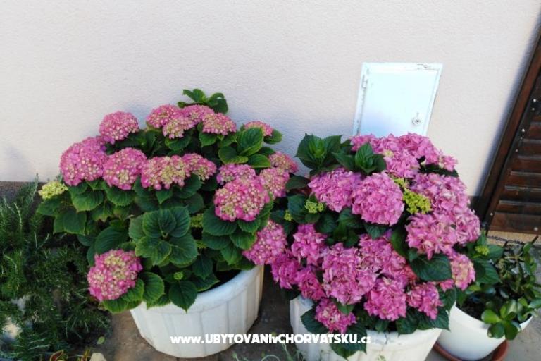 Apartamenty NIKA – foto 16