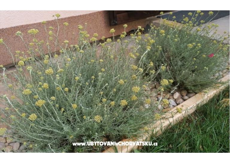 Apartamenty NIKA – foto 18