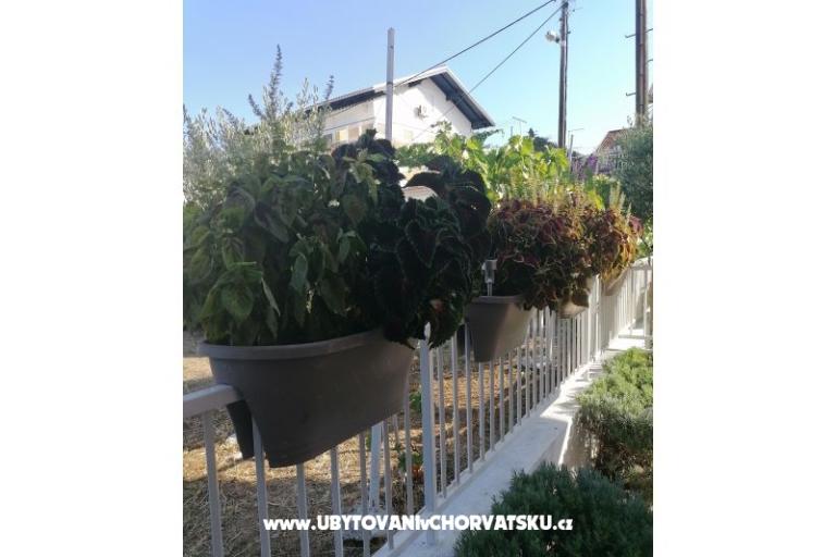 Apartamenty NIKA – foto 8