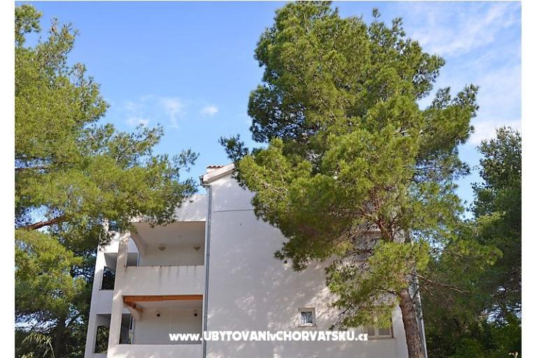 Apartamenty Bruno – foto 5