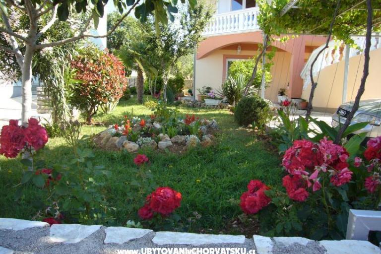 Apartamenty Ćosić  – foto 3