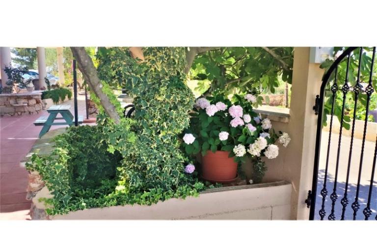 Apartamenty Dea&Paula – foto 2