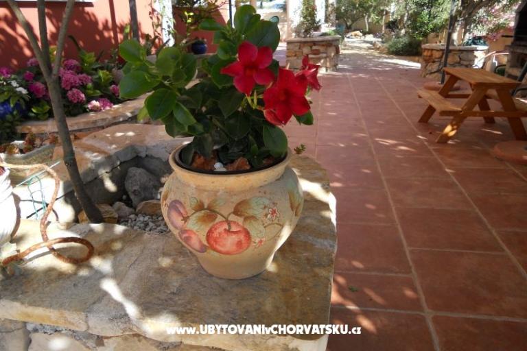 Apartamenty Dea&Paula – foto 9
