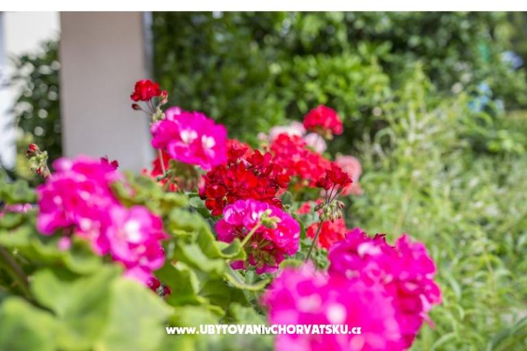Apartamenty Ines – foto 3