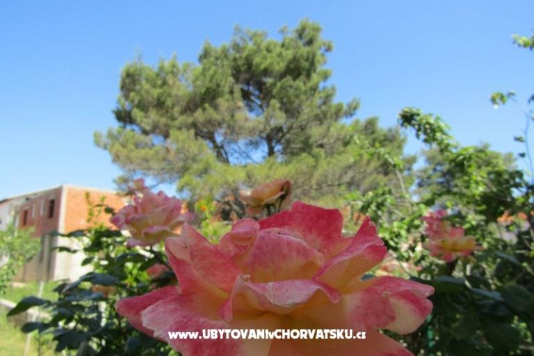 Apartamenty Kokor – foto 14