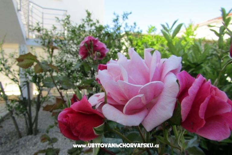 Apartamenty Kokor – foto 4