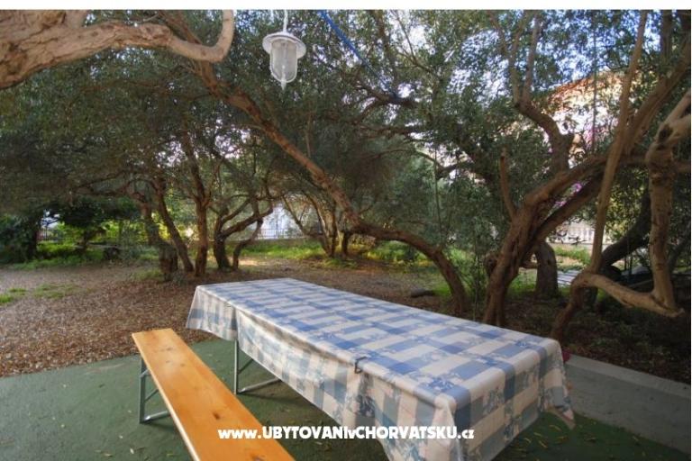 Apartamenty Mira – foto 4