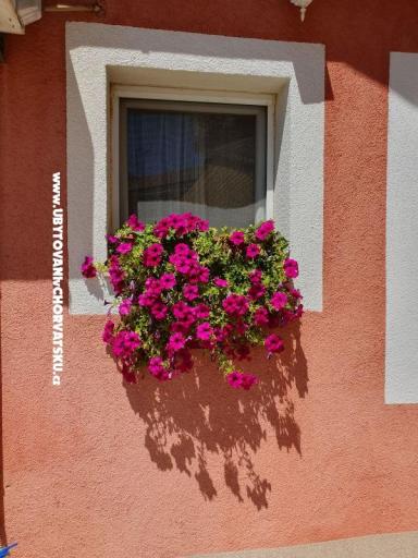 Apartamenty Nana – foto 17