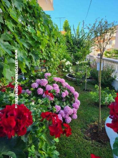 Apartamenty Rino – foto 35