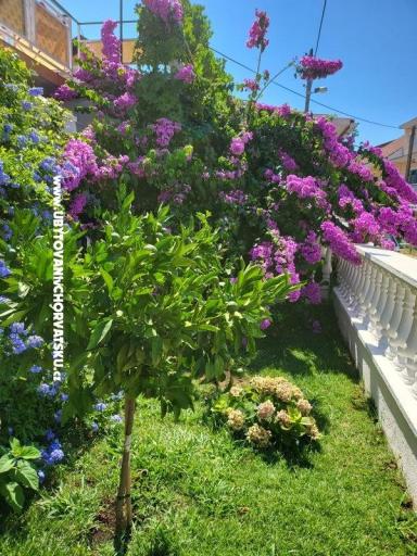 Apartamenty Rino – foto 36
