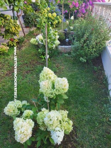 Apartamenty Rino – foto 37