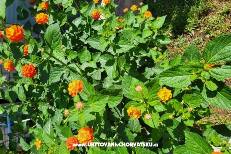 Apartamenty Rino – foto 38