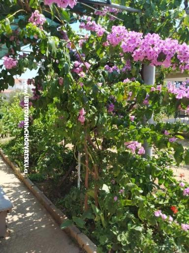 Apartamenty Vinka – foto 20