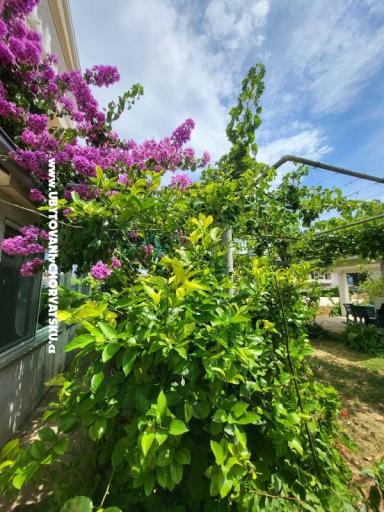 Apartamenty Vinka – foto 23