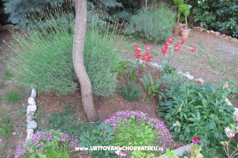 Apartamenty Zvonimir – foto 11
