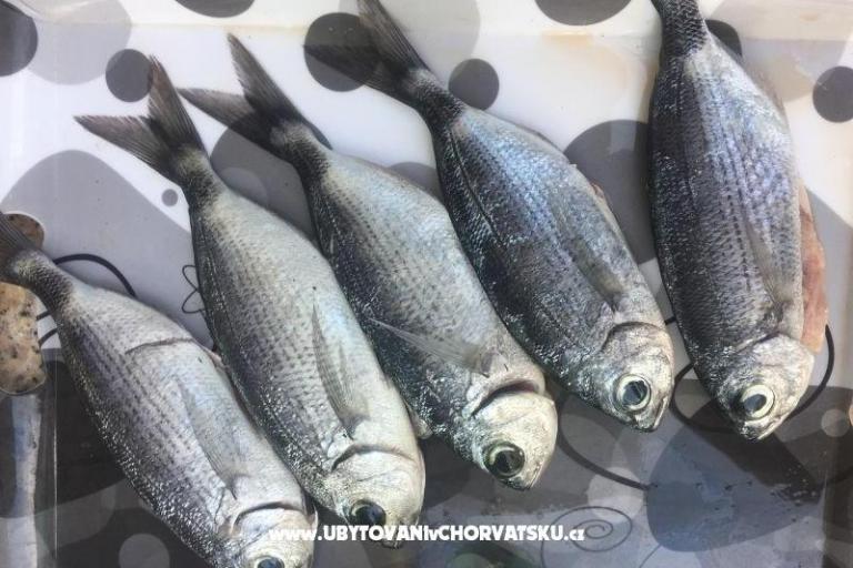 Apartamenty Milka – foto 19