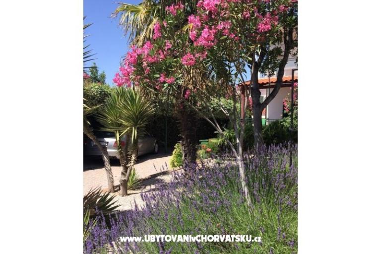 Apartamenty Milka – foto 21