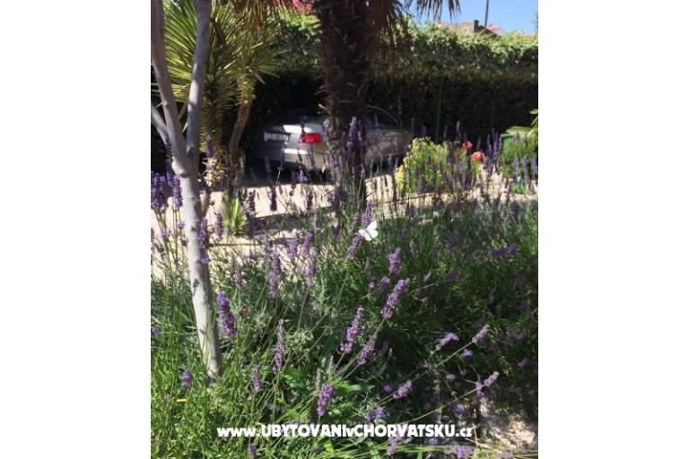 Apartamenty Milka – foto 22