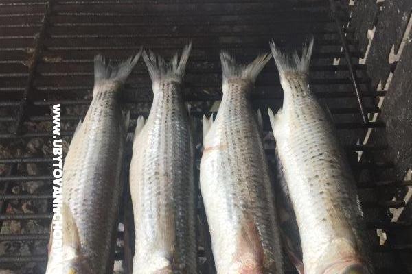 Apartamenty Milka – foto 27