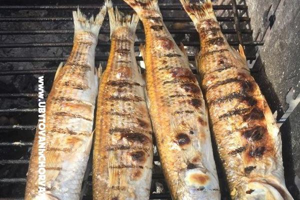 Apartamenty Milka – foto 28