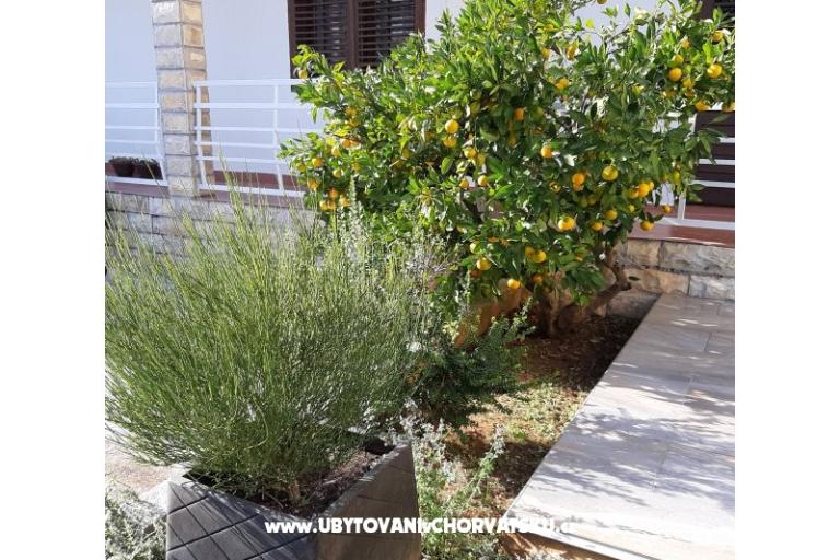 Apartamenty Vitali – foto 11