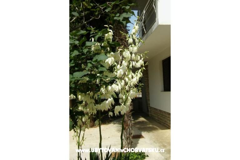 Apartamenty Vitali – foto 6